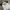 Dickies Streetwear Casual T-shirt Pria white photo 2