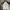 Dickies Streetwear Casual T-shirt Pria white photo 4