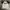 Dickies Streetwear Casual T-shirt Pria white photo 1