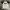 Dickies Streetwear Casual T-shirt Pria White