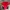 K-Swiss Sportswear Casual Jersey Pria red photo 1