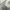 H&M Minimalist Casual Cami top Wanita gray photo 3