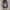 Streetwear Coquette Bag Pria multicolor photo 3