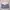 Louis Vuitton Minimalist Casual Shoulder bag Wanita blue photo 1