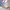 Louis Vuitton Minimalist Casual Shoulder bag Wanita blue photo 5