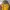Patagonia Vintage Gorpcore Fleece Pria Green Yellow