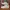 Nike Casual Sneakers Pria white photo 1