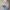 Y2K Crop top Wanita white blue photo 3