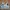Y2K Crop top Wanita white blue photo 4