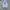 WHO.A.U Vintage Hoody Pria white photo 1