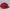 Topi Snapback Just Too Hip Too Hop Urban Swagger photo 4