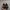 Adidas Casual Sneakers Pria white black photo 4