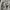 MLB Casual Hoody Pria gray photo 5