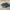 Adidas Indie Casual Sneakers Pria black gray photo 1