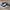 Puma Emo Casual Sneakers Pria white black photo 1