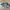 New Balance Gorpcore Casual Sneakers Pria gray photo 1