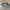 New Balance Gorpcore Casual Sneakers Pria Gray