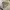 Japanese brand Casual Sweater Pria multicolor photo 1