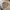 Japanese brand Casual Sweater Pria multicolor photo 2
