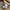 Dickies Streetwear Skater Casual shirt Pria khaki photo 5