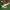 Puma Suede  photo 1