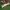 Puma Suede  photo 2