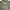 VAN Gorpcore Windbreaker Pria green photo 1