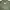 VAN Gorpcore Windbreaker Pria Green