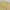 Burberry Vintage Coquette Sweater Wanita cream yellow photo 2