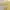 Burberry Vintage Coquette Sweater Wanita cream yellow photo 5