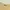 Burberry Vintage Coquette Sweater Wanita cream yellow photo 3
