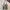 Sophie Martin Vintage Y2K Tote Bag Wanita Green