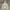 Russell Athletic Streetwear Y2K Hoody Pria white photo 3