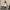 Russell Athletic Streetwear Y2K Hoody Pria white photo 2
