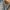 FUBU Streetwear Y2K Jeans Pria blue photo 8