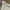VANS Streetwear Y2K Hoody Pria white photo 4
