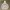 VANS Streetwear Y2K Hoody Pria white photo 1