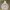 VANS Streetwear Y2K Hoody Pria White