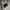 VANS Streetwear Y2K Hoody Pria white photo 6