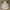 VANS Streetwear Y2K Hoody Pria white photo 3