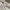 VANS Streetwear Y2K Hoody Pria white photo 5