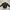 Minimalist Bomber jacket Pria brown black photo 1