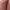 Uniqlo Minimalist Casual Going out dress Wanita pink photo 2