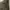 Pull & Bear Cosplay Casual Going Out Dress Wanita Green