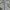 H&M Luxury Casual Evening dress Wanita gray photo 5