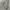 H&M Luxury Casual Evening dress Wanita gray photo 2