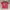 Vintage Y2K T-shirt Pria red pink photo 1
