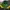 Vintage Sportswear Puffer jacket Pria green yellow photo 2
