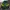 Vintage Sportswear Puffer jacket Pria green yellow photo 1