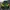 Vintage Sportswear Puffer Jacket Pria Green Yellow
